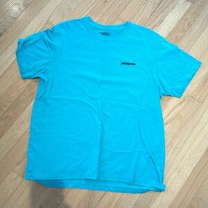 Men’s  large Patagonia short sleeve T-shirt